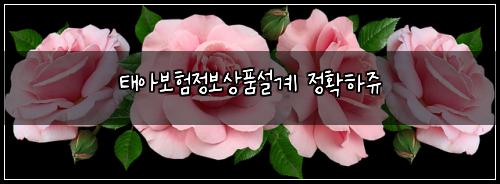 태아보험정보상품설계 정확하쥬