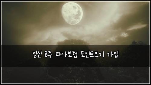 임신 8주 태아보험 포인트보기  가입