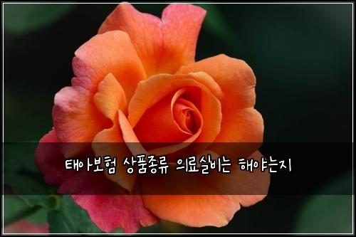 ํ์๋ณดํ ์ํ์ข
๋ฅ ์๋ฃ์ค๋น๋ ํด์ผ๋์ง