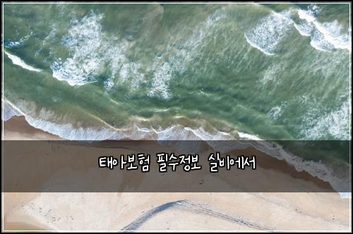 ํ์๋ณดํ ํ์์ ๋ณด ์ค๋น์์