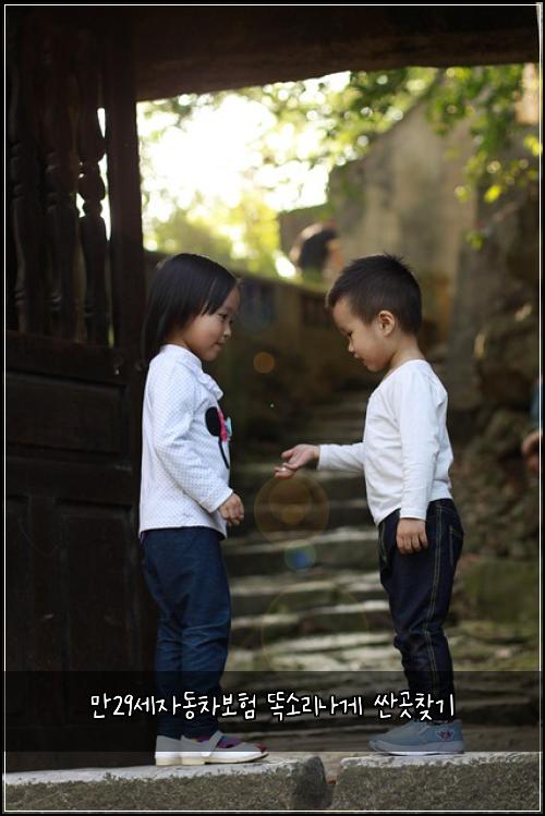 만29세자동차보험 똑소리나게  싼곳찾기