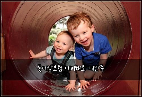 ๋กฏ๋ฐ์๋ณดํ ๋๋นํด์ ๋๋ง์กฑ