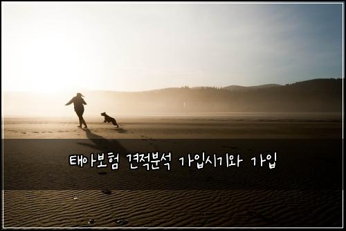 ํ์๋ณดํ ๊ฒฌ์ ๋ถ์ ๊ฐ์
์๊ธฐ์ ๊ฐ์