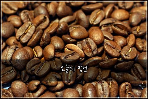 오늘의 명언