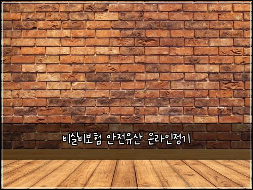 비실비보험 안전유산  온라인정기