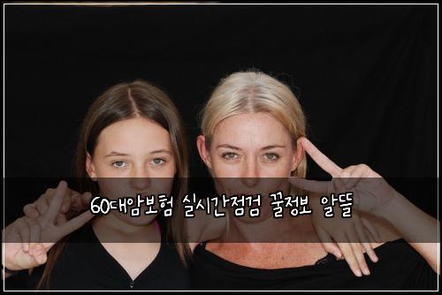 60대암보험 실시간점검  꿀정보 알뜰