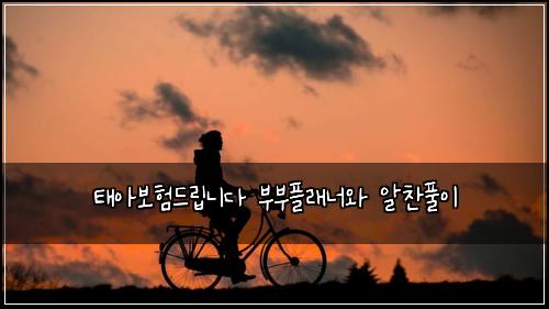 태아보험드립니다 부부플래너와 알찬풀이