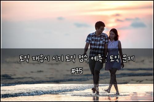 토익 재응시 시기 토익 점수 예측 : 토익 문제 #45