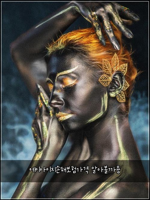 μμ΄μμ΄μ§μν΄λ³΄νκ°κ²© μμλ³ΌκΉμ©