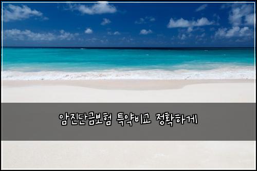 암진단금보험 특약비교  정확하게
