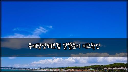 무배당상해보험 알뜰준비  비교확인