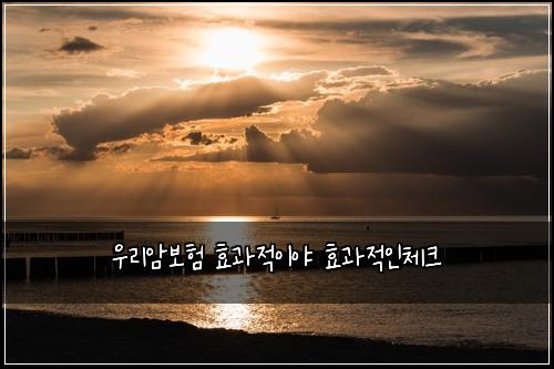 우리암보험 효과적이야  효과적인체크