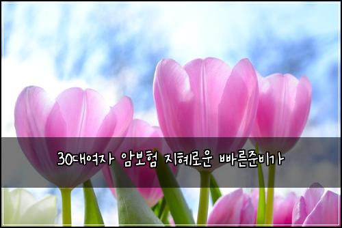 30๋์ฌ์ ์๋ณดํ ์งํ๋ก์ด ๋น ๋ฅธ์ค๋น๊ฐ