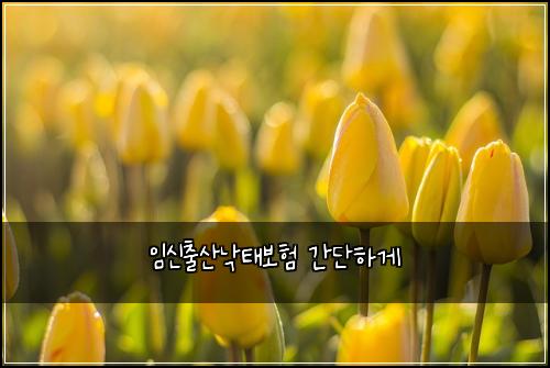 ์์ ์ถ์ฐ๋ํ๋ณดํ ๊ฐ๋จํ๊ฒ