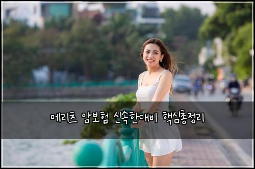 ๋ฉ๋ฆฌ์ธ ์๋ณดํ ์ ์ํ๋๋น ํต์ฌ์ด์ ๋ฆฌ