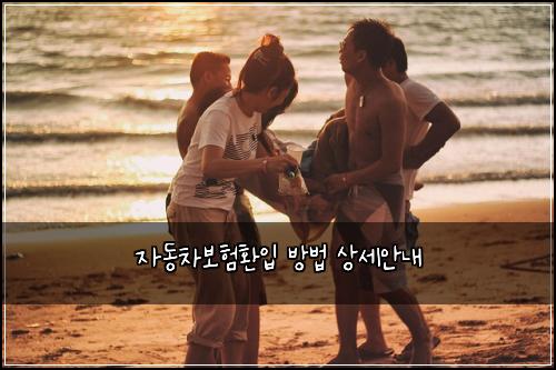 ์๋์ฐจ๋ณดํํ์
๋ฐฉ๋ฒ ์์ธ์๋ด