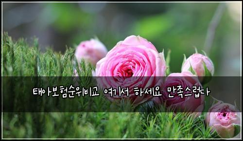 태아보험순위비교 여기서 하세요 만족스럽다