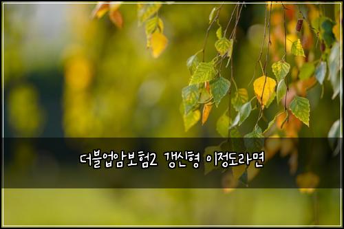 더블업암보험2 갱신형 이정도라면