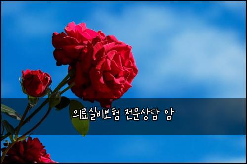 의료실비보험 전문상담  암
