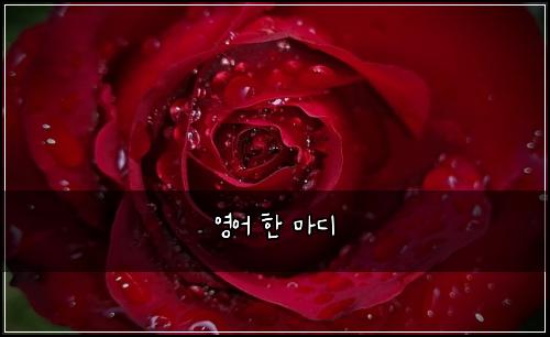 ์์ด ํ ๋ง๋