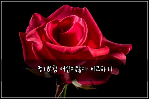 ์ ๊ธฐ๋ณดํ ์ด๋ ต์ง์๋ค ๋น๊ตํ๊ธฐ