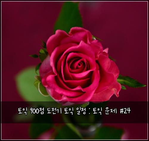 토익 900점 도전기 토익 일정 : 토익 문제 #24
