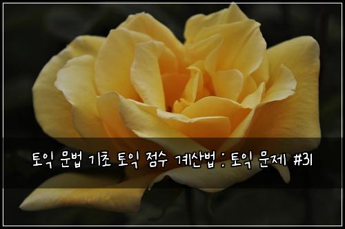 토익 문법 기초 토익 점수 계산법 : 토익 문제 #31