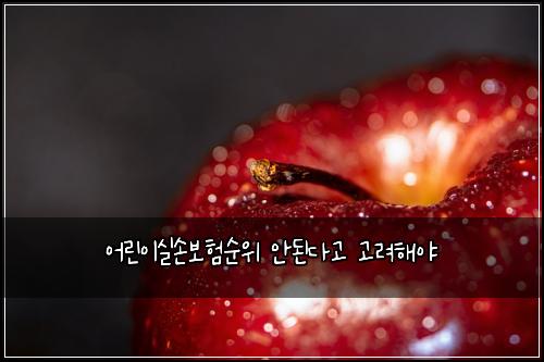 ์ด๋ฆฐ์ด์ค์๋ณดํ์์ ์๋๋ค๊ณ ๊ณ ๋ คํด์ผ