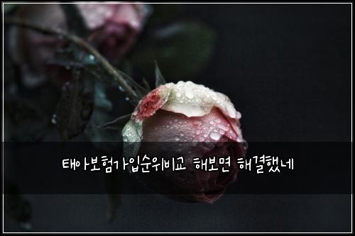 태아보험가입순위비교 해보면 해결했네