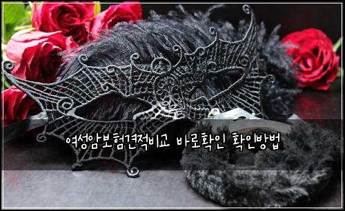 μ¬μ±μ보ν견μ λΉκ΅ λ°λ‘νμΈ νμΈλ°©λ²