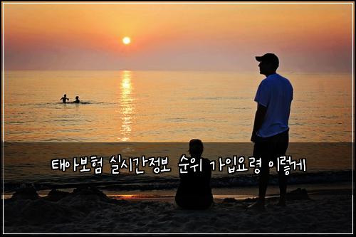 태아보험 실시간정보  순위 가입요령 이렇게