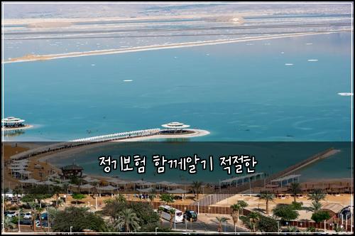 정기보험 함께알기  적절한