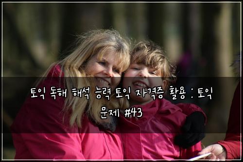 토익 독해 해석 능력 토익 자격증 활용 : 토익 문제 #43