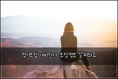 정기보험 대비한다  보장정보 살펴봐요