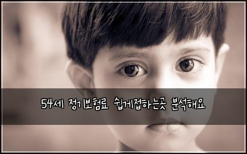 54์ธ ์ ๊ธฐ๋ณดํ๋ฃ ์ฝ๊ฒ์ ํ๋๊ณณ ๋ถ์ํด์