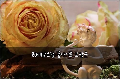 80์ธ์๋ณดํ ๊ฟ์ฌ์ดํธ ๋ณด์ฅ์