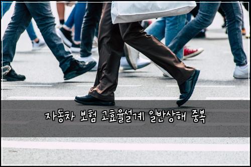 ์๋์ฐจ ๋ณดํ ๊ณ ํจ์จ์ค๊ณ ์ผ๋ฐ์ํด ์ค๋ณต