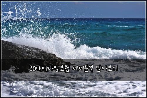 30λμ¬μμ보ν μΈμΈλΆμ λ°μ보기