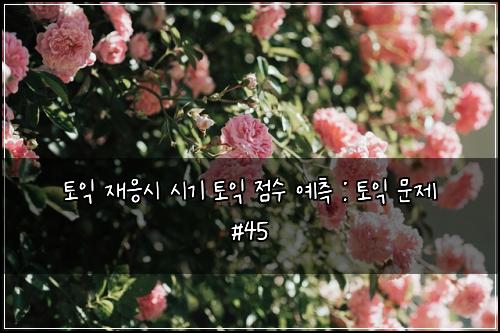 토익 재응시 시기 토익 점수 예측 : 토익 문제 #45
