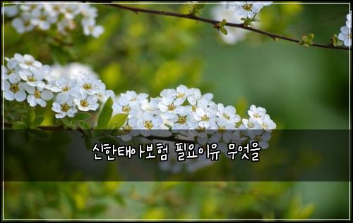 ์ ํํ์๋ณดํ ํ์์ด์ ๋ฌด์์