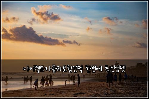 ๋ค์ด๋ ํธ์๋์ฐจ๋ณดํ๊ฒฌ์ ํ๋ฒ์ ์ต์ ์
๋