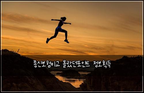 종신보험비교 몰랐던포인트 정보획득