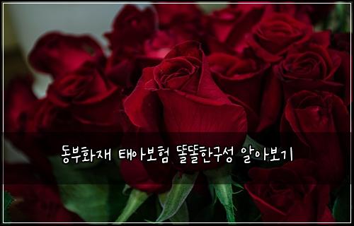 동부화재 태아보험 똘똘한구성  알아보기