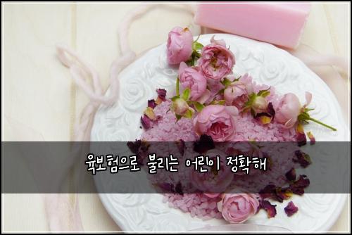 육보험으로 불리는 어린이 정확해