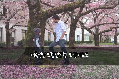저축성암보험갱신형 보장비교도