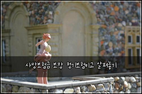 사망보험금 보장 정기보험비교 살펴놓기
