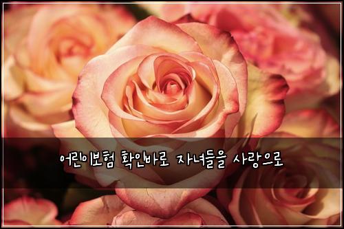 ์ด๋ฆฐ์ด๋ณดํ ํ์ธ๋ฐ๋ก ์๋
๋ค์ ์ฌ๋์ผ๋ก