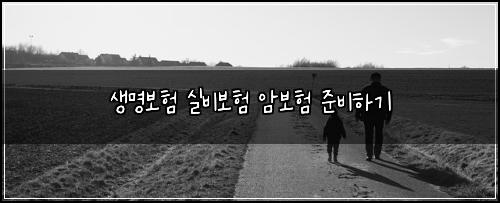 생명보험 실비보험 암보험 준비하기