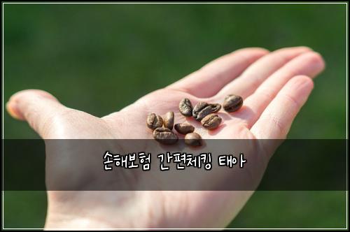 손해보험 간편체킹  태아
