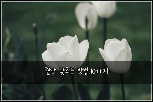 ํ์ ๋ฎ์ถ๋ ๋ฐฉ๋ฒ 10๊ฐ์ง